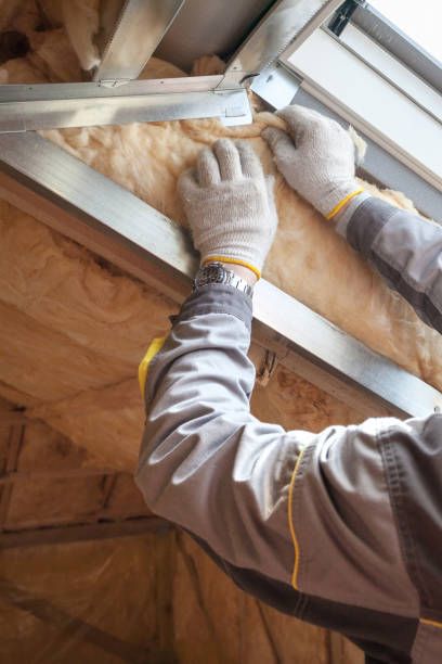 Best Commercial Insulation in Driggs, ID